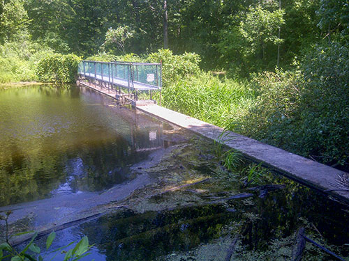 Beaver Meadow Dam