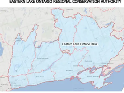 Proposal map of consolidated Eastern Conservation Authorities. 