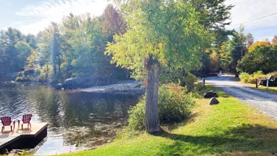 Serene lake view with a dock featuring two Adirondack chairs, a tree-lined path, and bright sunlight filtering through the leaves.