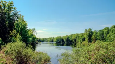 A serene lake surrounded by lush green foliage under a clear blue sky.