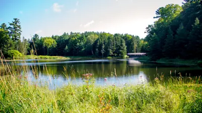 Scenic view of a tranquil lake surrounded by lush green forests under a clear blue sky. A wooden bridge is visible in the distance.