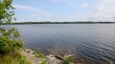 A serene view of a large lake with clear skies and scattered clouds above. The foreground features a rocky shore with green foliage and a fallen tree branch. 