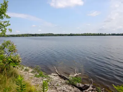 A serene view of a large lake with clear skies and scattered clouds above. The foreground features a rocky shore with green foliage and a fallen tree branch. 