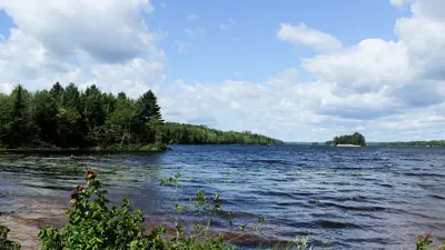 View of a serene lake with ripples on the water, surrounded by dense forests under a partly cloudy sky.