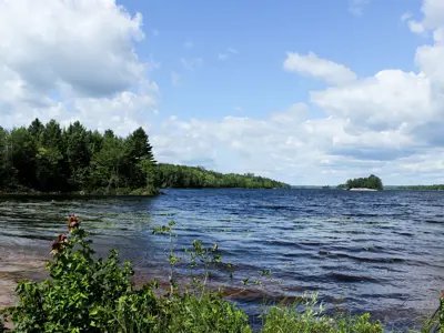 View of a serene lake with ripples on the water, surrounded by dense forests under a partly cloudy sky.