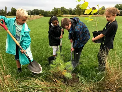 Four children planting a tree outdoors on a grassy field.
