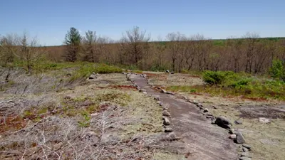 A winding path lined with rocks leads through a sparse landscape with small bushes and a clear blue sky above.