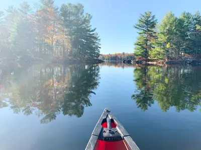 A serene view from a red canoe on a calm lake, with reflections of surrounding trees under a clear blue sky.