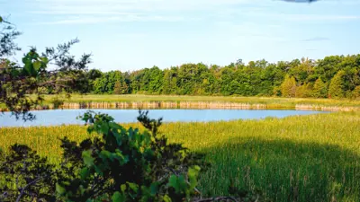Scenic view of a tranquil lake surrounded by lush greenery and a vibrant grassy field under a clear blue sky.