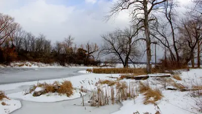 Winter scene at a frozen pond with bare trees and snow-covered ground under a cloudy sky.