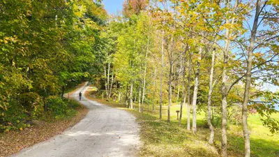 A scenic view of a winding road passing through a colorful autumn forest with lush green grass and clear skies.