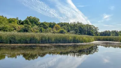 View of a serene lake reflecting the sky, surrounded by lush greenery under a cloud-streaked blue sky.