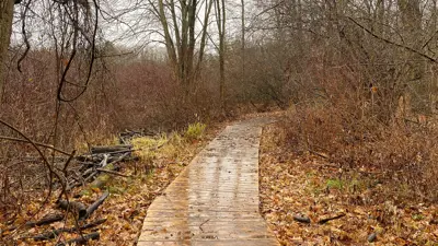 A wooden boardwalk meanders through a barren forest with leaf-covered ground and bare trees during autumn.