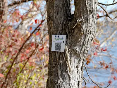 A sign with a QR code and the text "Nature Sanctuary" attached to a tree trunk, surrounded by foliage with a water body in the background.