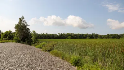 A panoramic view of a gravel road next to a lush green wetland under a blue sky with fluffy clouds.