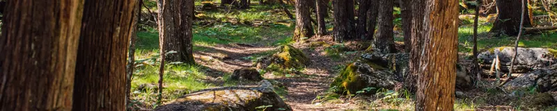 Interior Banner for Outdoor Spaces