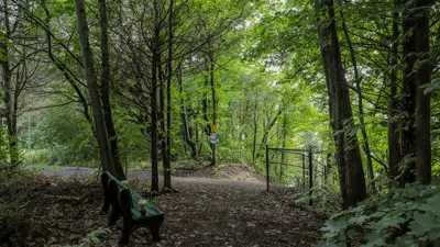 A serene pathway in a lush forest, featuring a green bench and a metal railing along the trail.