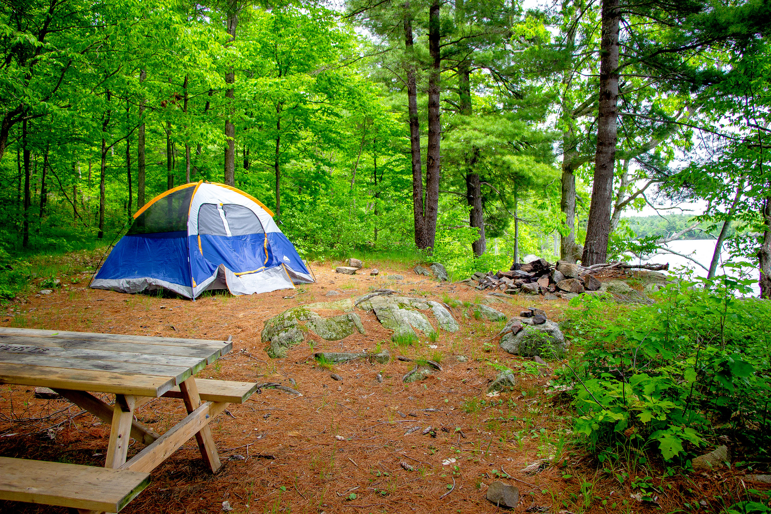 A camping setup featuring a blue and gray tent near a lake, surrounded by lush green trees. There is a picnic table in the foreground and a small fire pit near the tent.