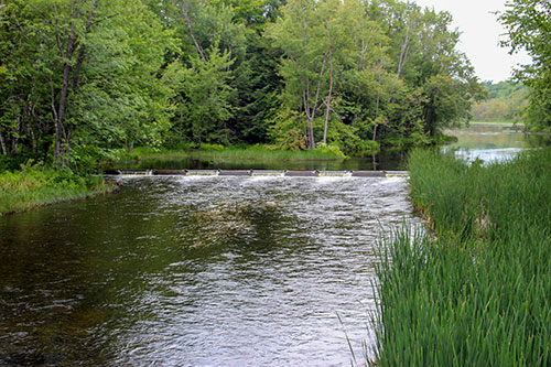 Downey's Weir