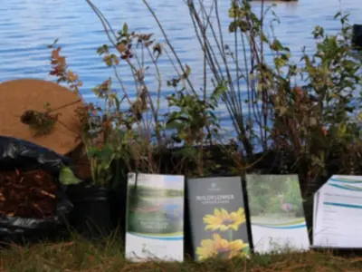 potted trees, shrubs and wildflowers are shown alongside a bag of mulch, coco disc, tree gaurds, and plant care guides