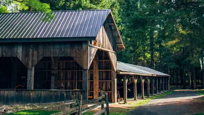 Exterior view of a rustic wooden barn with a corrugated metal roof, located in a wooded area.