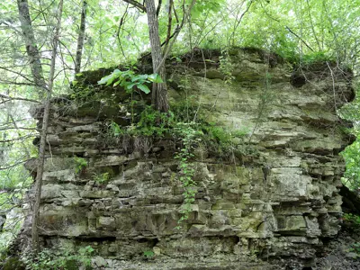 Large formation of karst in a forested area.