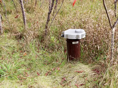 A metal well cover in a grassy field surrounded by small trees and scattered leaves.