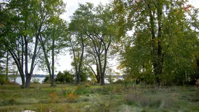 Scenic view of a lush park with a variety of trees and wild grasses, with a hint of a lake visible in the background.