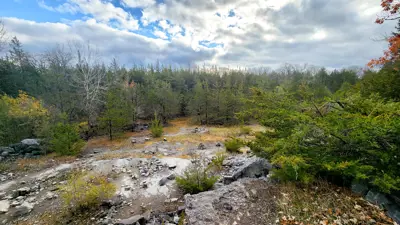 Scenic view of a rocky forest landscape under a cloudy sky, featuring patches of green and autumn-colored trees.