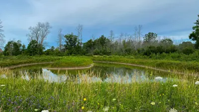 Scenic view of a pond surrounded by wildflowers and grasses with lush trees in the background under a partly cloudy sky.