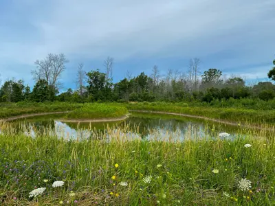 Scenic view of a pond surrounded by wildflowers and grasses with lush trees in the background under a partly cloudy sky.