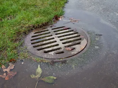 Metal storm drain on a wet asphalt road, surrounded by green grass with scattered leaves.