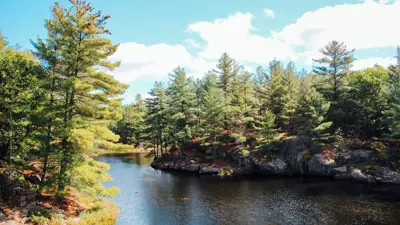 Scenic view of a river bordered by lush trees under a clear blue sky.