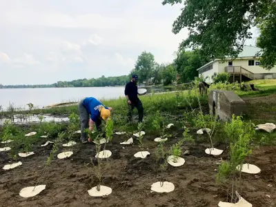 Two individuals are planting saplings near a lakeside, with a house and tree line in the background. One person is digging in the soil while the other carries a tray of plants.