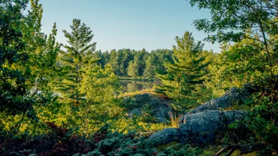 Scenic view of a tranquil lake surrounded by lush green trees and rocky terrain, possibly in a nature reserve or national park.