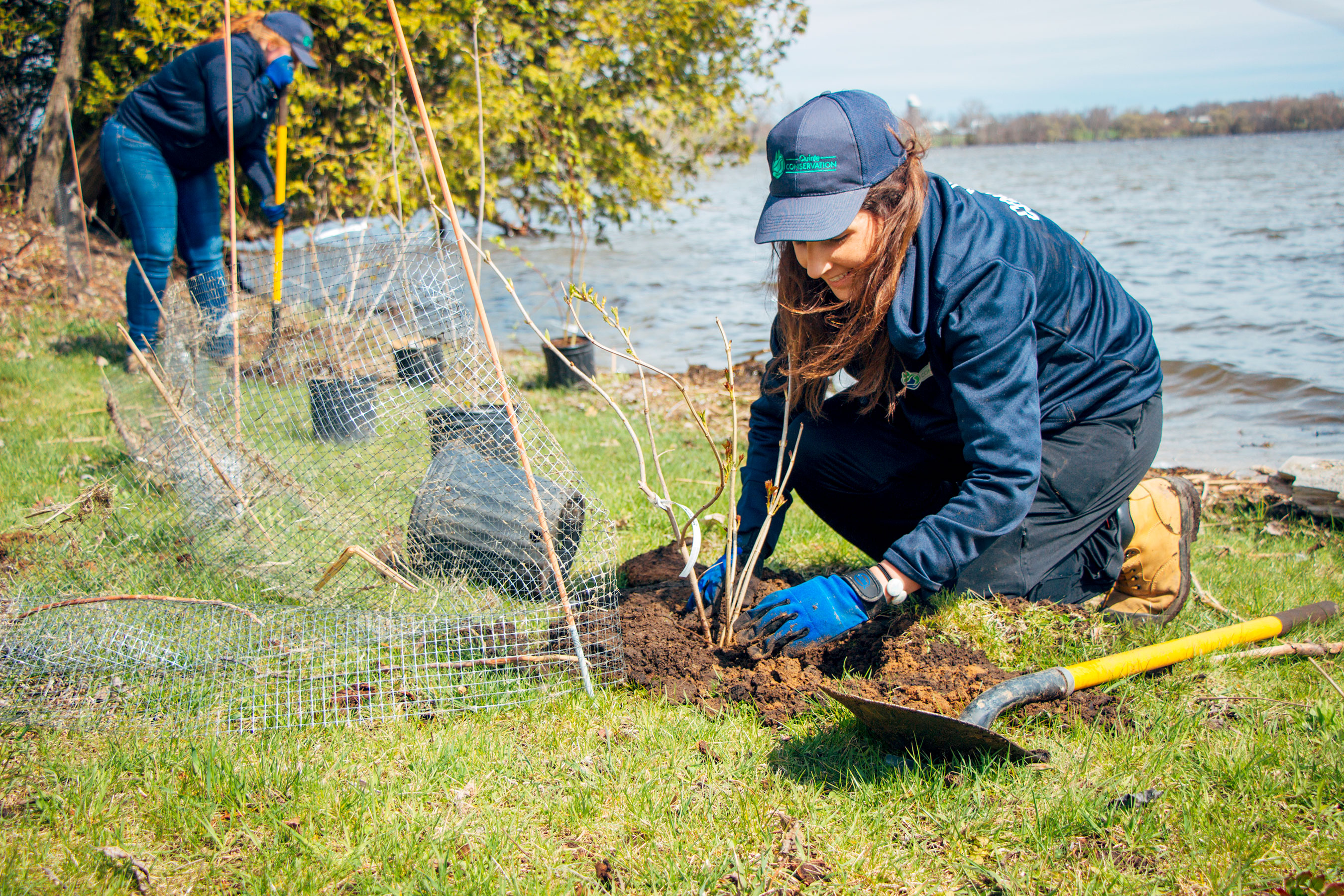 Shoreline Planting Banner